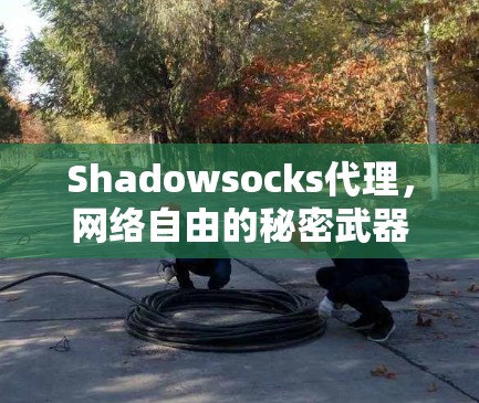 Shadowsocks代理，网络自由的秘密武器