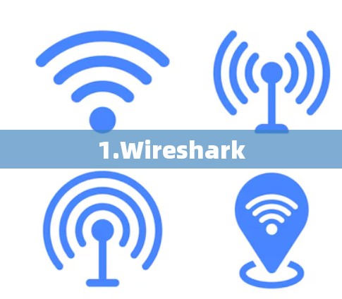 1.Wireshark 1.Wireshark