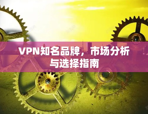 VPN知名品牌,市场分析与选择指南 VPN知名品牌,市场分析与选择指南