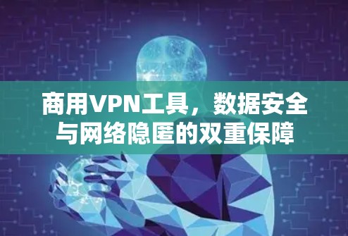 商用VPN工具，数据安全与网络隐匿的双重保障