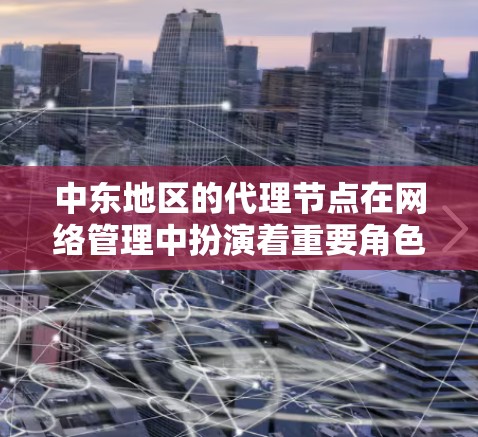 中东地区的代理节点在网络管理中扮演着重要角色，主要用于内容过滤、隐私保护、网络监控和访问控制。以下是对中东代理节点的详细分析