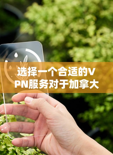选择一个合适的VPN服务对于加拿大的用户来说,确实需要考虑多个因素。以下是一个有条理的指南,帮助你做出最佳选择 选择一个合适的VPN服务对于加拿大的用户来说,确实需要考虑多个因素。以下是一个有条理的指南,帮助你做出最佳选择