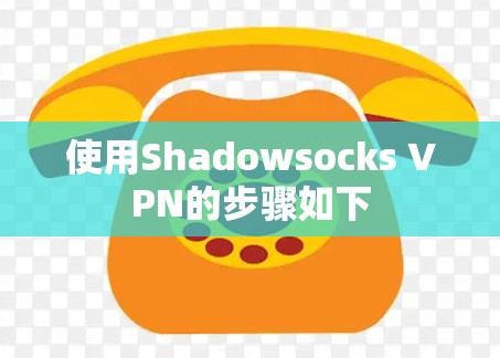 使用Shadowsocks VPN的步骤如下