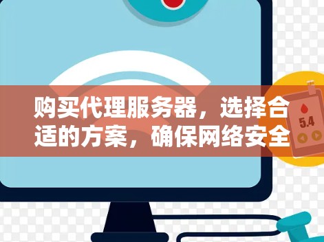 购买代理服务器，选择合适的方案，确保网络安全