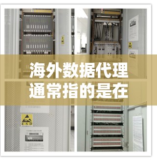 海外数据代理通常指的是在海外收集、处理或传输数据的过程。这种服务通常由专业的数据服务提供商或技术公司提供,旨在帮助客户在海外市场上收集和整理数据,并将其传输回国内或其他指定的数据中心进行处理和分析 海外数据代理通常指的是在海外收集、处理或传输数据的过程。这种服务通常由专业的数据服务提供商或技术公司提供,旨在帮助客户在海外市场上收集和整理数据,并将其传输回国内或其他指定的数据中心进行处理和分析