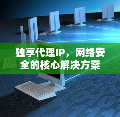 独享代理IP,网络安全的核心解决方案 独享代理IP,网络安全的核心解决方案