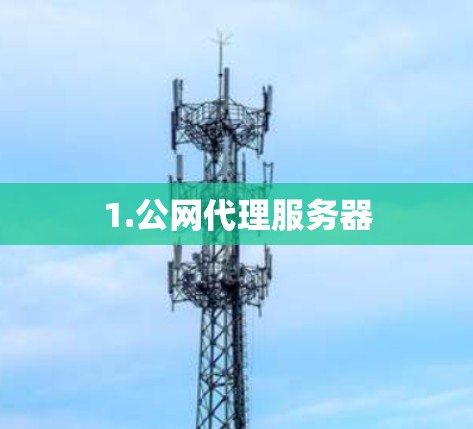 1.公网代理服务器