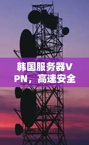 韩国服务器VPN,高速安全通道,连接无限可能 韩国服务器VPN,高速安全通道,连接无限可能