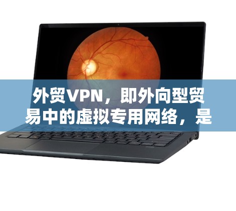 外贸VPN，即外向型贸易中的虚拟专用网络，是在国际贸易中用于确保数据安全、保护隐私和访问受限资源的重要工具。以下是外贸VPN的详细介绍