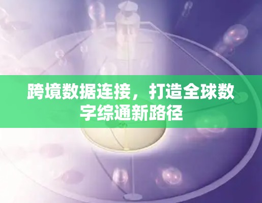 跨境数据连接，打造全球数字综通新路径