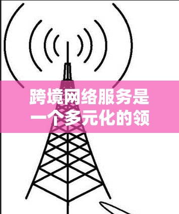 跨境网络服务是一个多元化的领域，广泛应用于国际业务和生活中，涵盖数据传输、云计算、互联网、视频会议等多个方面。以下是对跨境网络服务的详细分析