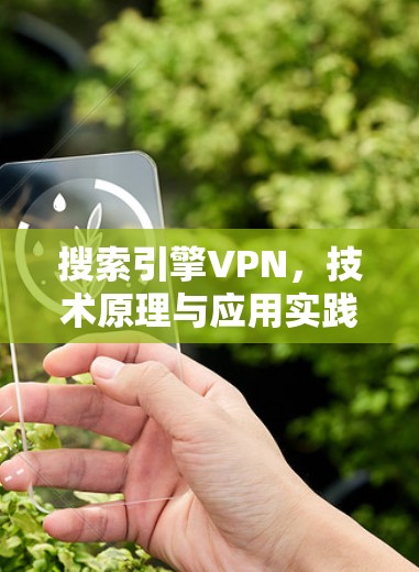 搜索引擎VPN,技术原理与应用实践 搜索引擎VPN,技术原理与应用实践