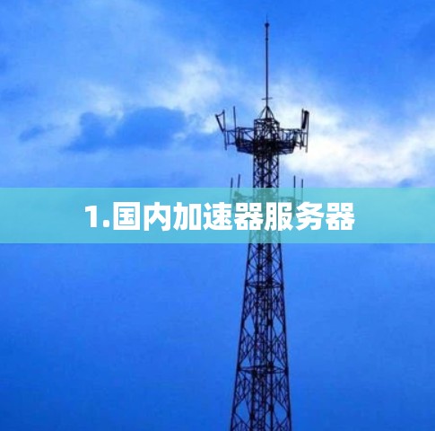 1.国内加速器服务器 1.国内加速器服务器