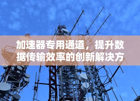 加速器专用通道,提升数据传输效率的创新解决方案 加速器专用通道,提升数据传输效率的创新解决方案