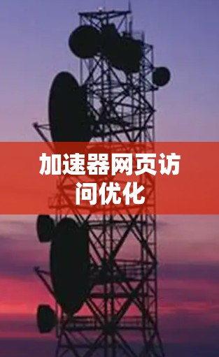 加速器网页访问优化
