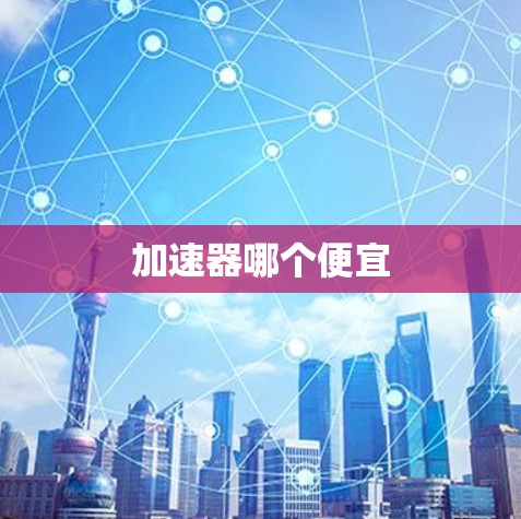 加速器哪个便宜