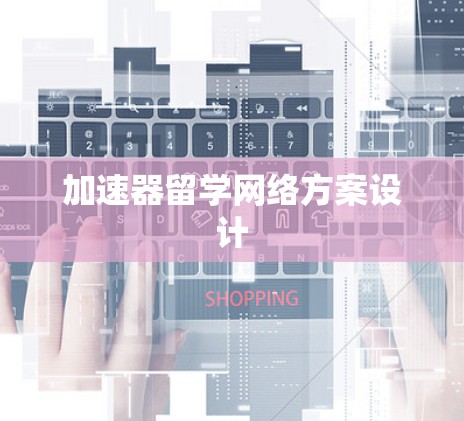 加速器留学网络方案设计