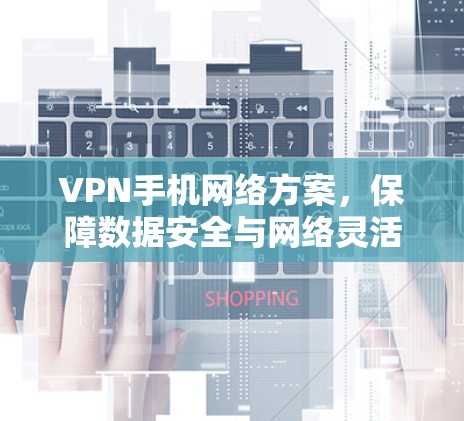 VPN手机网络方案，保障数据安全与网络灵活性