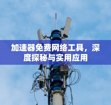 加速器免费网络工具，深度探秘与实用应用