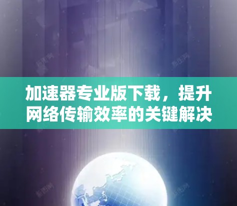 加速器专业版下载，提升网络传输效率的关键解决方案