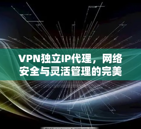 VPN独立IP代理,网络安全与灵活管理的完美结合 VPN独立IP代理,网络安全与灵活管理的完美结合