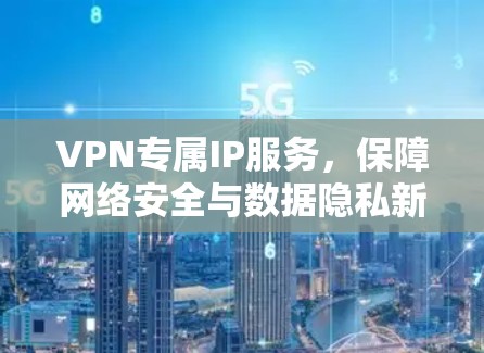 VPN专属IP服务，保障网络安全与数据隐私新方案