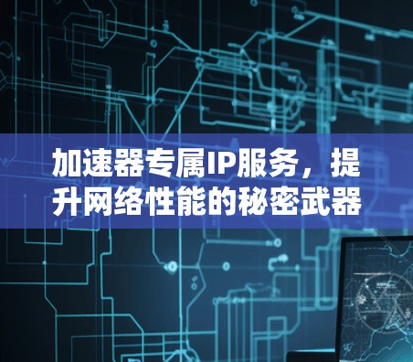 加速器专属IP服务，提升网络性能的秘密武器