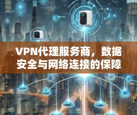 VPN代理服务商,数据安全与网络连接的保障 VPN代理服务商,数据安全与网络连接的保障