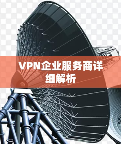 VPN企业服务商详细解析 VPN企业服务商详细解析
