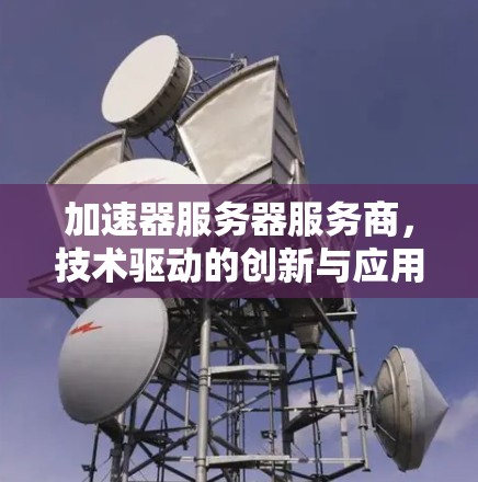 加速器服务器服务商，技术驱动的创新与应用