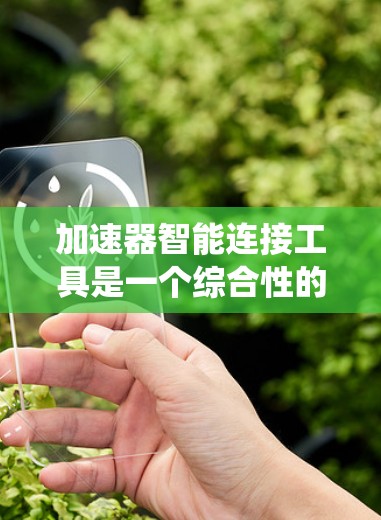 加速器智能连接工具是一个综合性的网络解决方案，旨在通过智能化技术优化网络连接和数据传输，从而提高系统性能和效率。以下是对这一工具的详细分析和总结