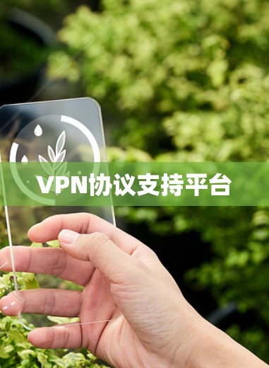 VPN协议支持平台 VPN协议支持平台