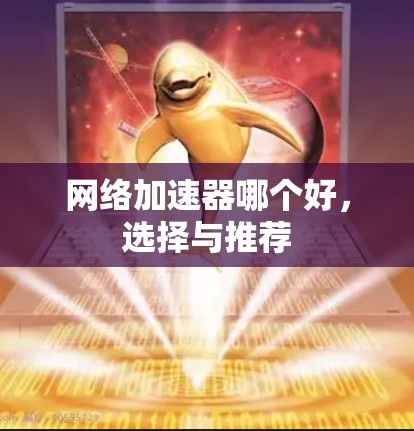 网络加速器哪个好，选择与推荐