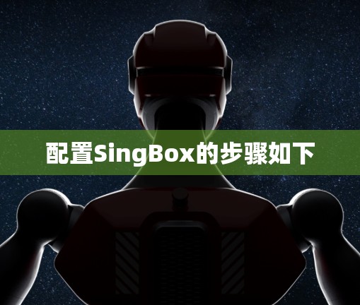 配置SingBox的步骤如下