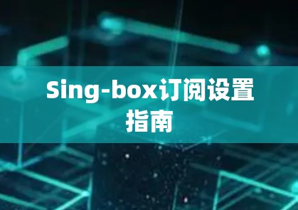 Sing-box订阅设置指南 Sing-box订阅设置指南