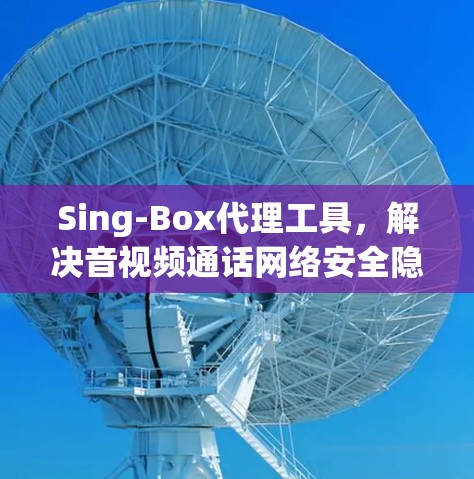 Sing-Box代理工具,解决音视频通话网络安全隐私问题 Sing-Box代理工具,解决音视频通话网络安全隐私问题