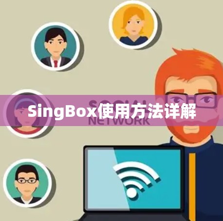 SingBox使用方法详解 SingBox使用方法详解