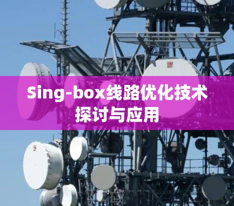 Sing-box线路优化技术探讨与应用 Sing-box线路优化技术探讨与应用