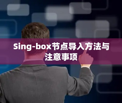 Sing-box节点导入方法与注意事项