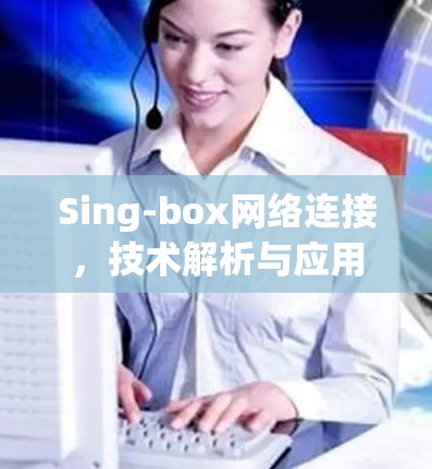 Sing-box网络连接，技术解析与应用探讨