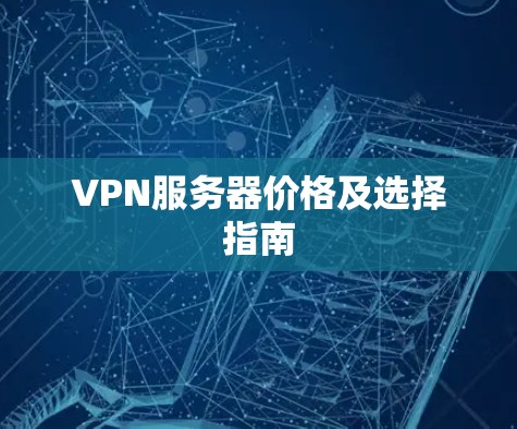 VPN服务器价格及选择指南