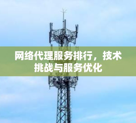 网络代理服务排行，技术挑战与服务优化