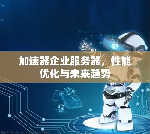 加速器企业服务器,性能优化与未来趋势 加速器企业服务器,性能优化与未来趋势