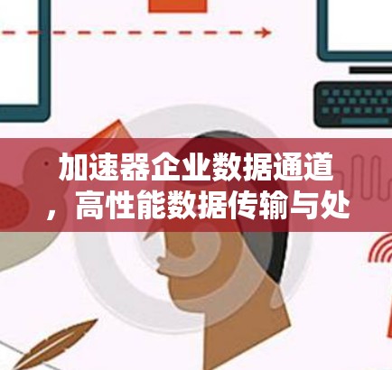 加速器企业数据通道,高性能数据传输与处理技术应用 加速器企业数据通道,高性能数据传输与处理技术应用