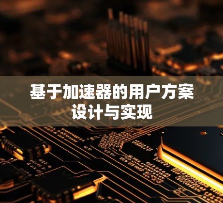 基于加速器的用户方案设计与实现 基于加速器的用户方案设计与实现