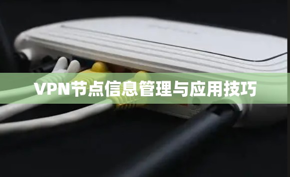 VPN节点信息管理与应用技巧