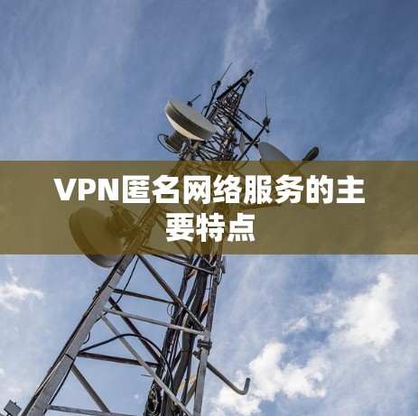 VPN匿名网络服务的主要特点 VPN匿名网络服务的主要特点