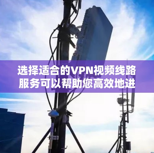 选择适合的VPN视频线路服务可以帮助您高效地进行视频会议、流媒体传输和视频监控等任务。以下是对VPN视频线路服务的详细分析和建议