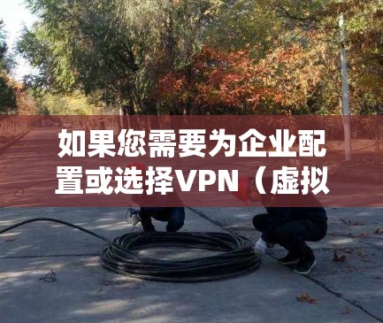 如果您需要为企业配置或选择VPN(虚拟专用网络)服务,以下是一些关键点和建议 如果您需要为企业配置或选择VPN(虚拟专用网络)服务,以下是一些关键点和建议