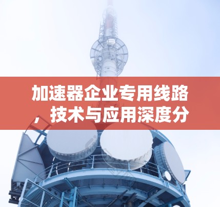 加速器企业专用线路,技术与应用深度分析 加速器企业专用线路,技术与应用深度分析